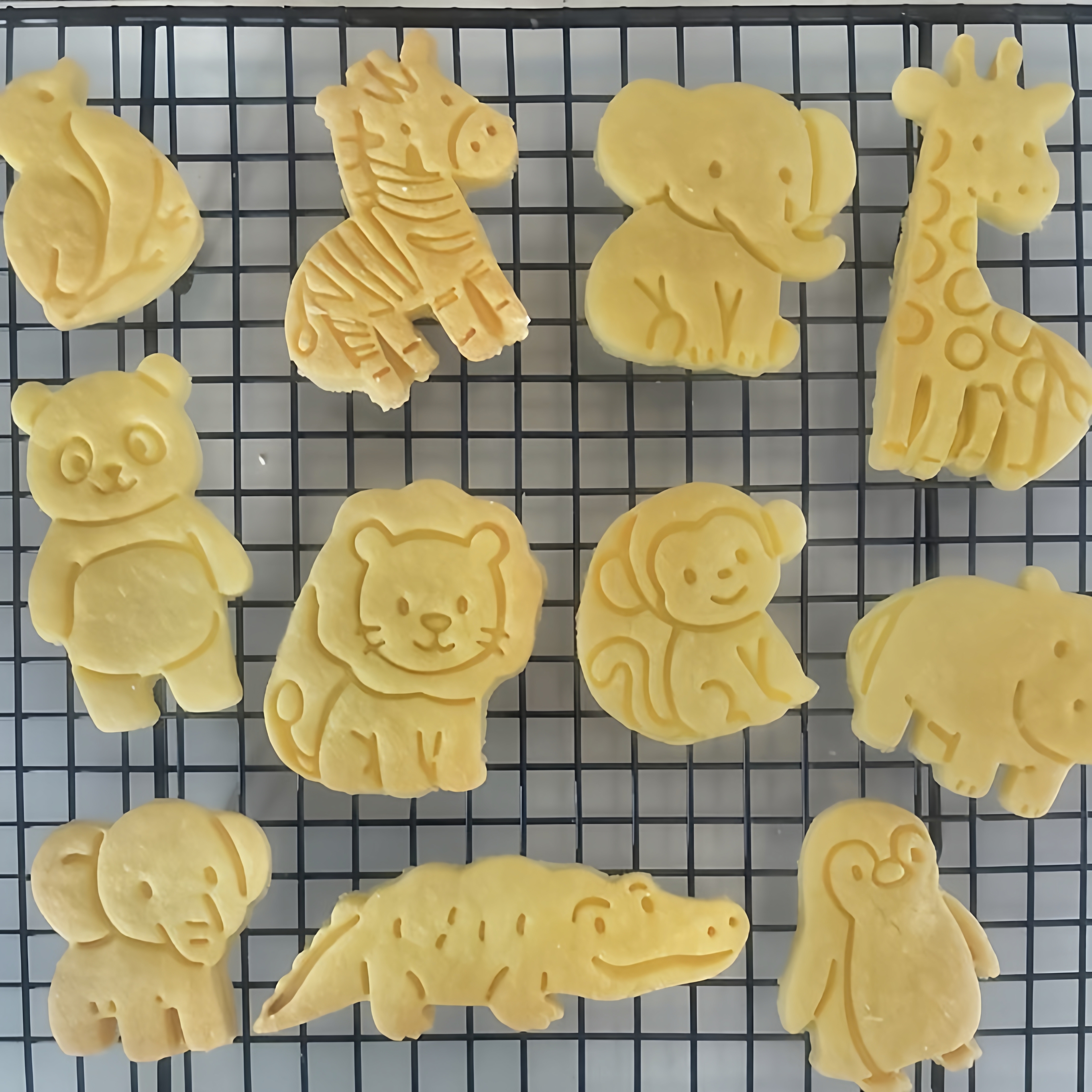 Cartoon Animal Biscuit Cutter  - Kitchen Kids Baking Set recensie en prijs